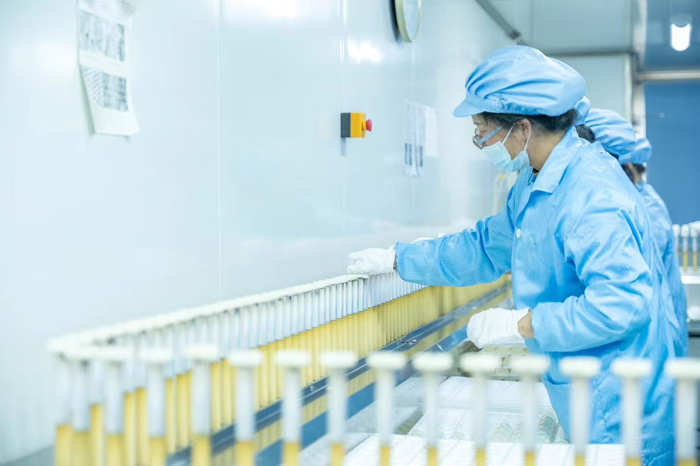 822de995c746d39c41943d0ae6b513e3